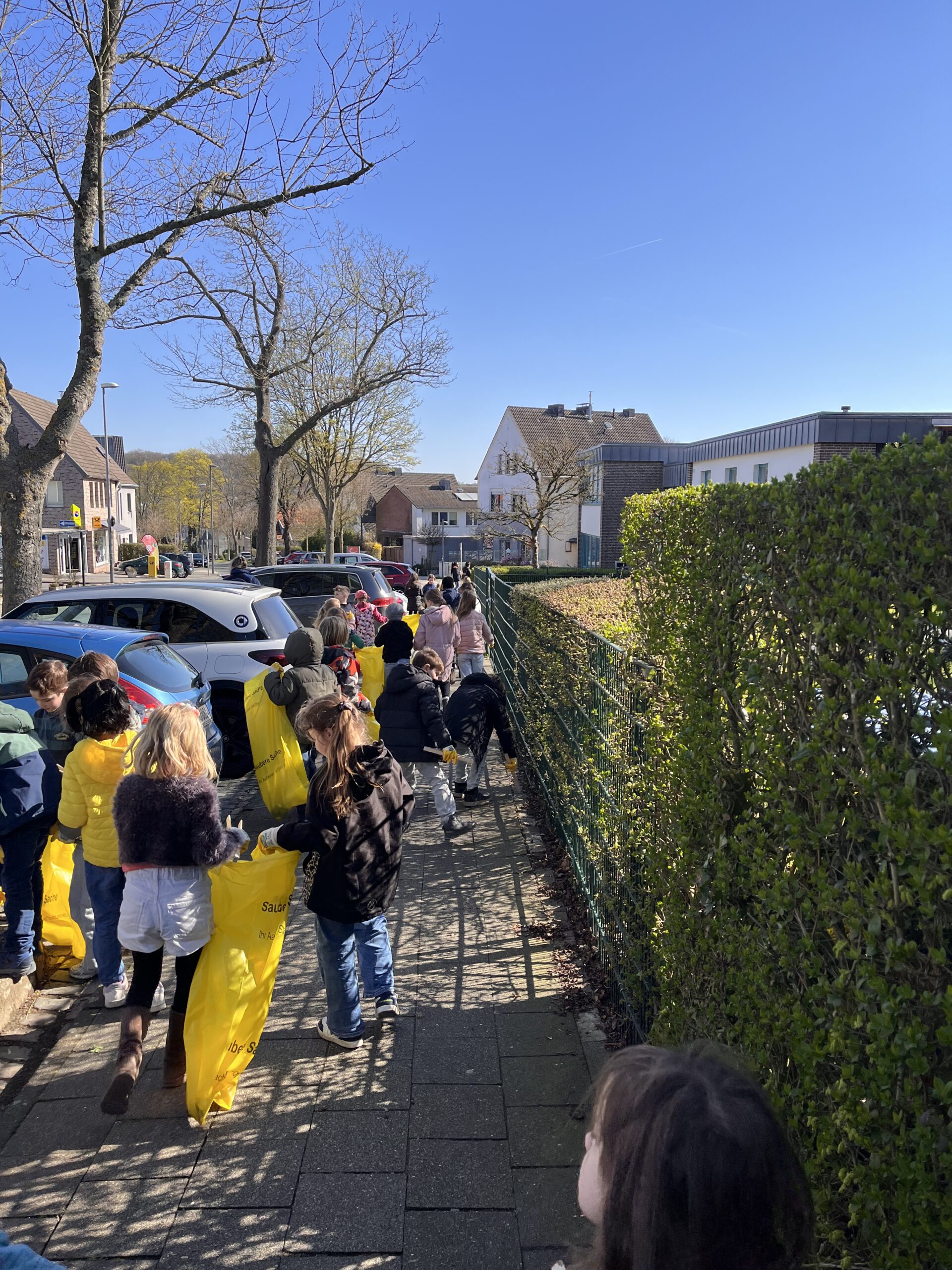 Du betrachtest gerade Frühjahrsputz auf der Hörn